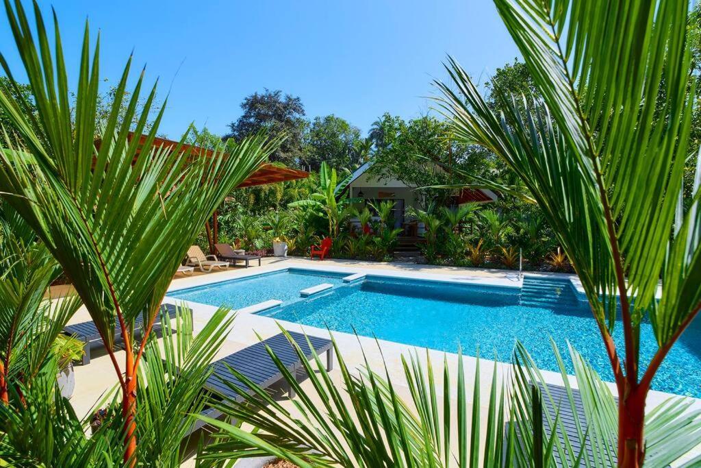 Casa Kristel - Exquisite Villa Getaway Puerto Viejo de Talamanca Eksteriør billede